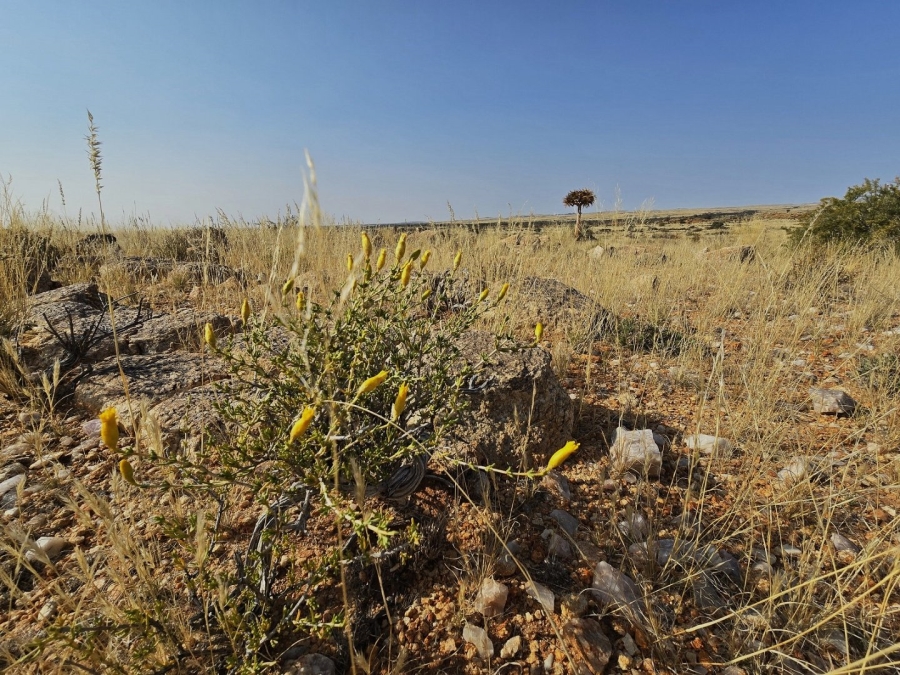 Commercial Property for Sale in Kenhardt Northern Cape